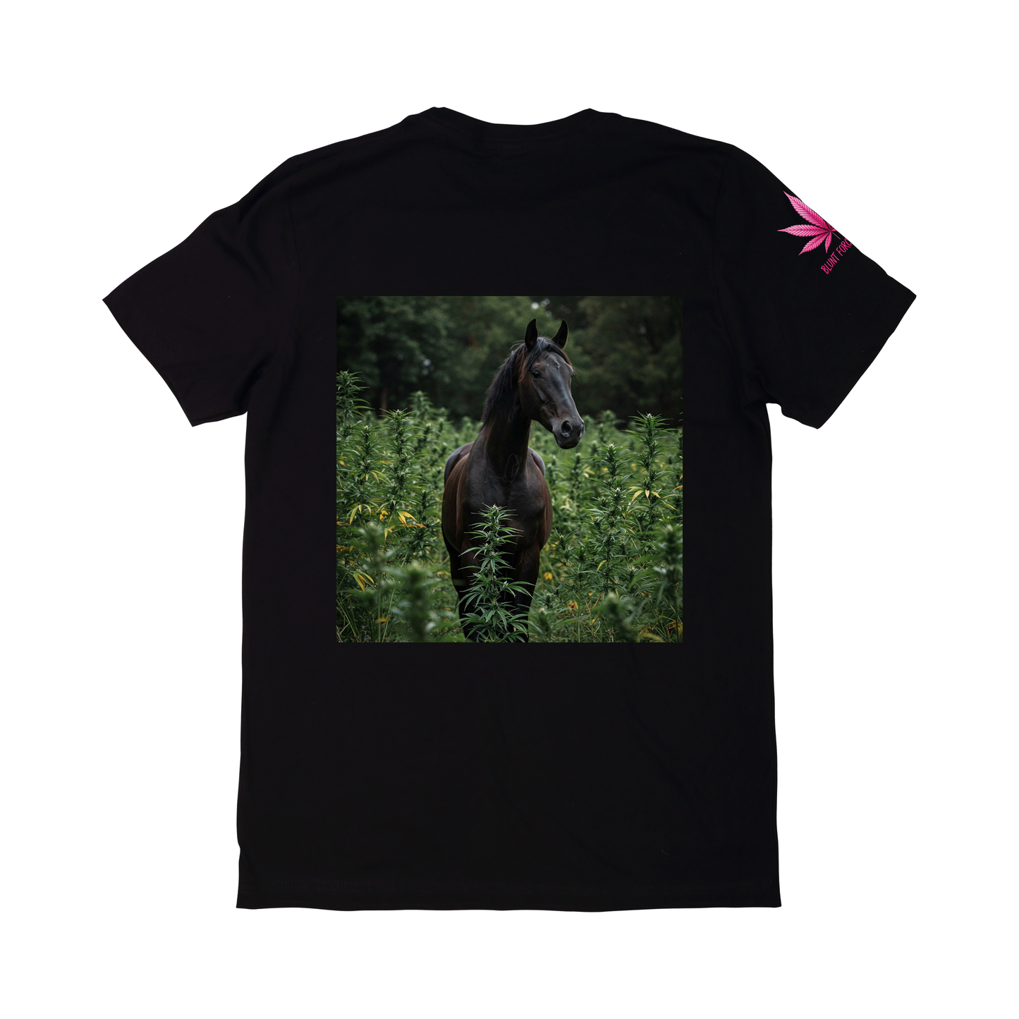 High Horse Energy