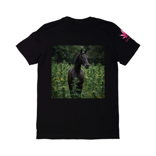 High Horse Energy